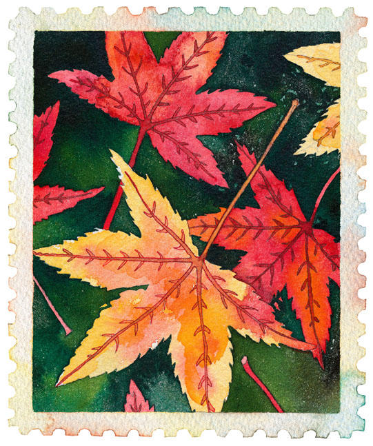 Falll_leaves