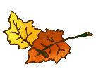 Clip art fall leaf 2