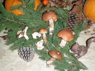 Mushrooms nov 2009 022